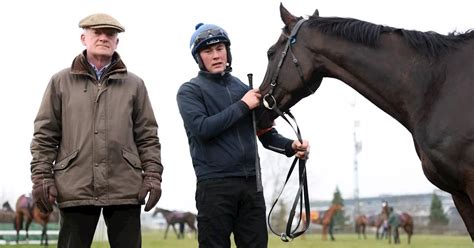 cheltenham live updates